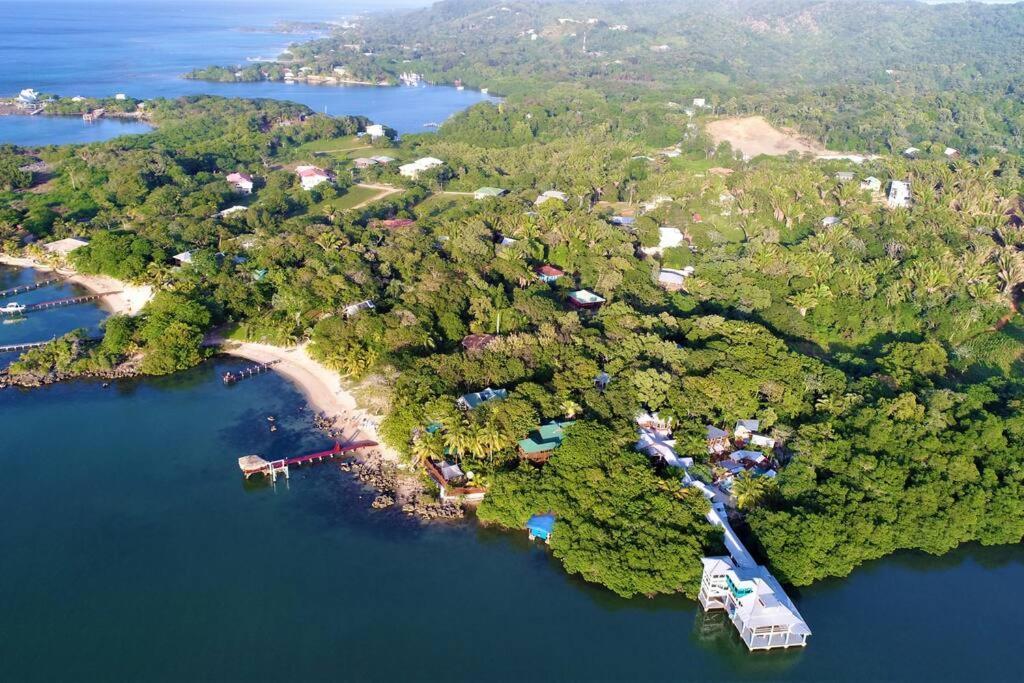 The Dock Resort Over Water Retreat เวสต์เอนด์ ภายนอก รูปภาพ